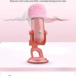Filtre anti-pop Ye Ti pour microphone USB