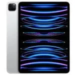 Apple iPad Pro 11" 256Go Wi-Fi + Cellular