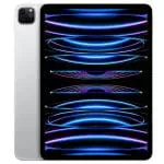 Apple iPad Pro 11" 256Go Wi-Fi + Cellular