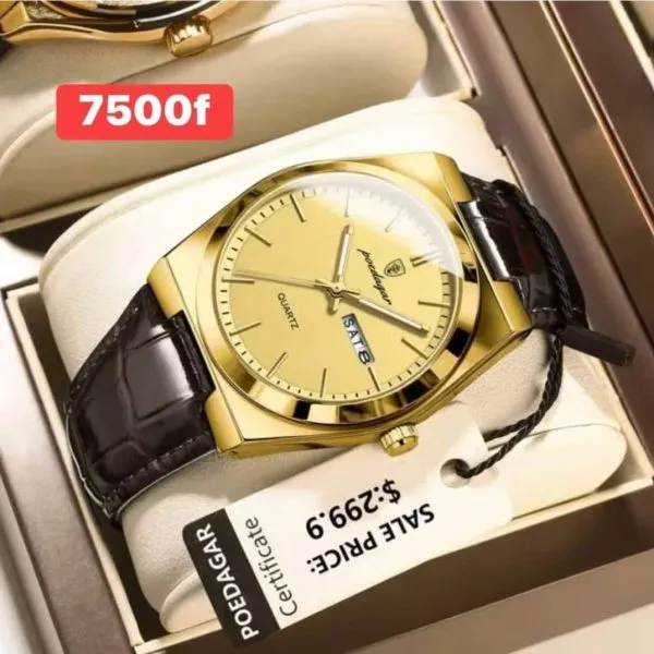 Montre homme POEDAGAR dorée avec bracelet brun aspect cuir